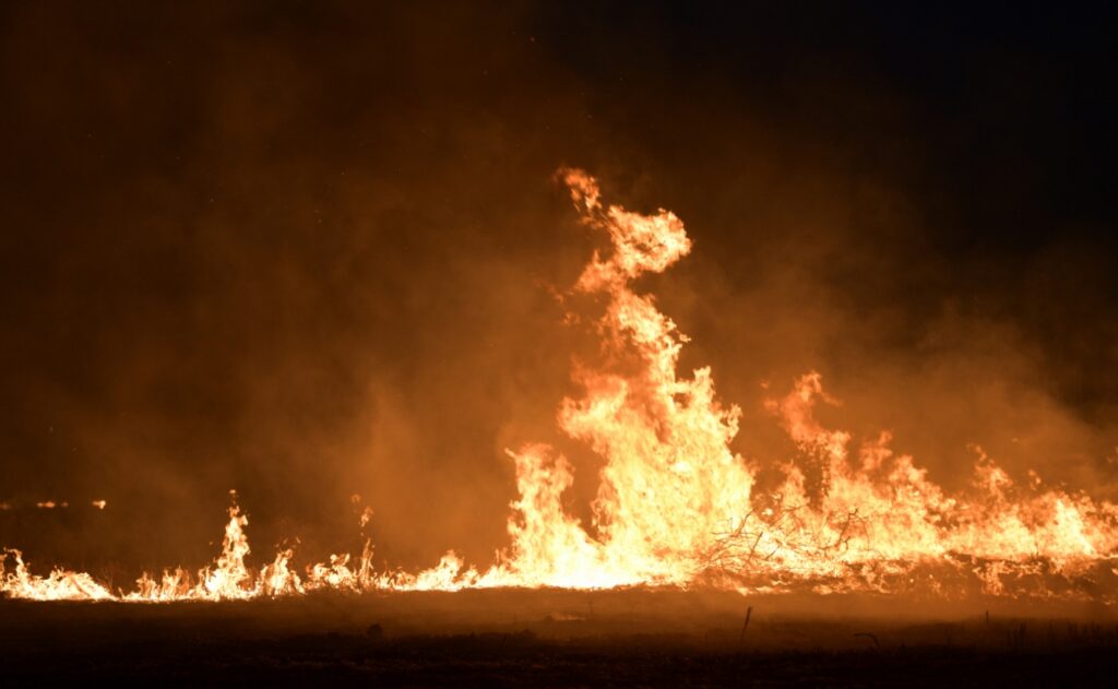 Incydent pożarowy w magazynie suchych materiałów – działania straży pożarnej